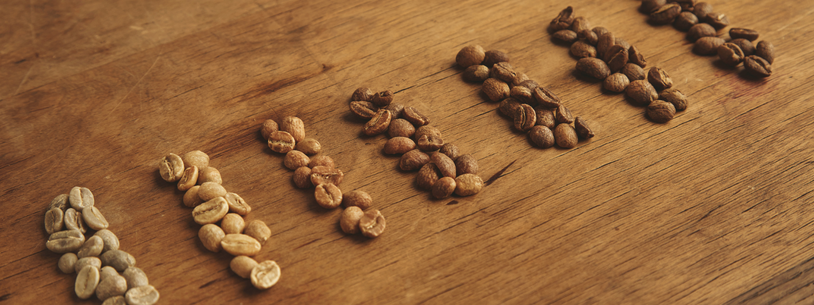 farklı kahve çekirdekleri