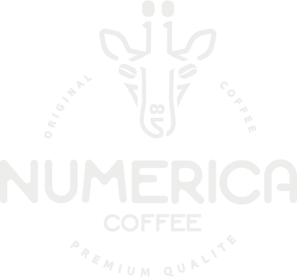 logo_not_found